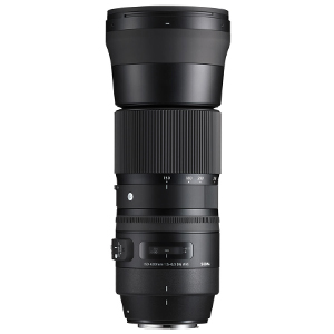 Sigma (Canon) 150-600 5.6