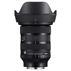 Sigma 24-70 2.8 (Sony E)